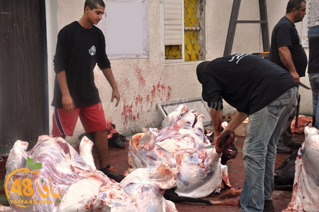 ada7y mashrot3 (3).JPG